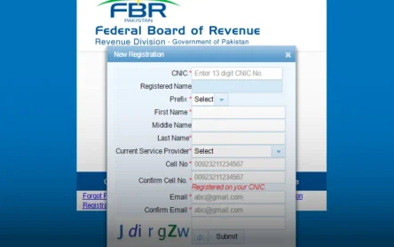 Instructions for performing an online NTN inquiry. How to check your National Tax Number (NTN) using the FBR online portal.